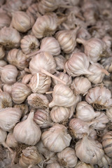 Garlic on the market