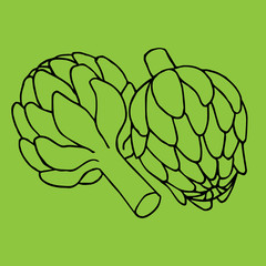 doodle illustration of artichoke