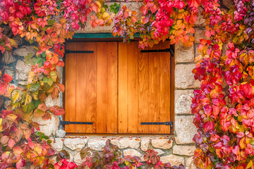 Virginia creeper on stone walls