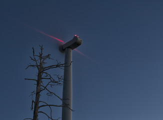 A dead tree and a wind turbine on a star filled night 