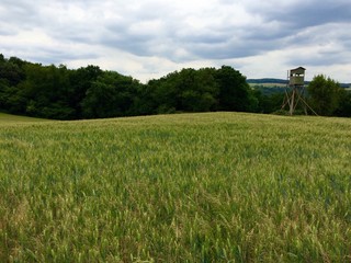 Hochstand am Feldrand