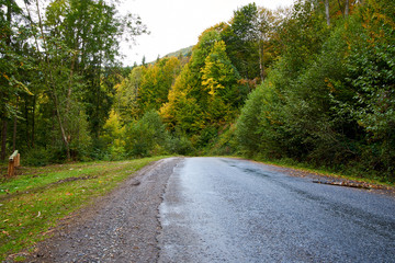 Mountain road lanscape with clouds and colorful trees
