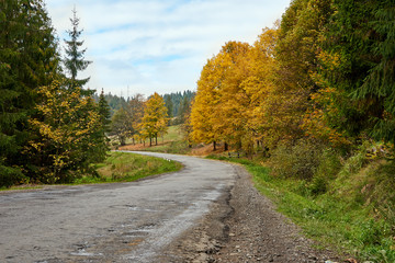 Mountain road lanscape with clouds and colorful trees