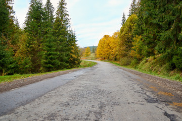 Mountain road lanscape with clouds and colorful trees