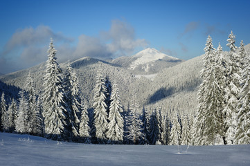 Obraz premium Winter morning in the mountains