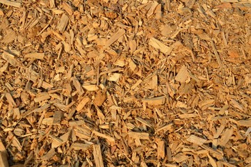 Background from sawdust