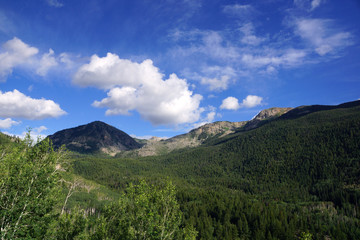 Fototapeta na wymiar Green Mountains of Independence Pass, Colorado