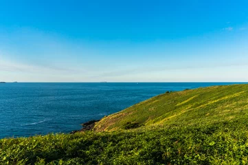 Fotobehang Beautiful ocean view and green grassy hill with clear sky on the © Olga K