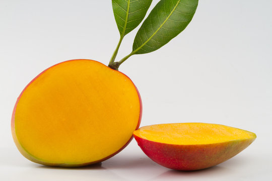Mangifera indica, mango tropical