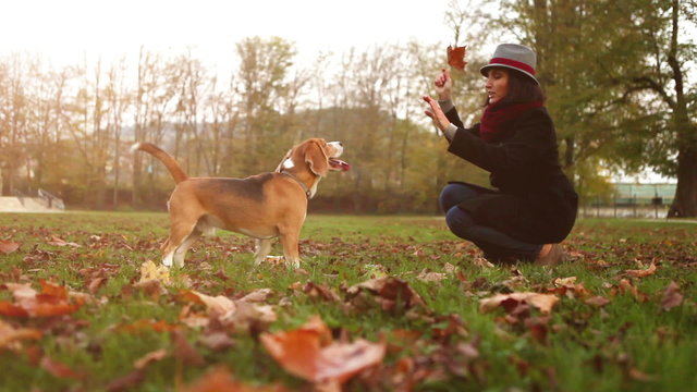 Slow motion autumnal footage: lady in the hat tames her beagle