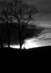 Lonely man with a tree  