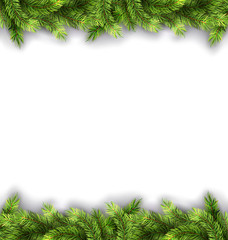 Natural Framework with Fir Twigs