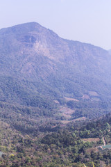 Fototapeta premium village with garden in doi inthanon, Chiangmai Thailand