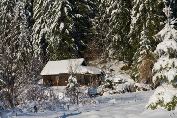 small cabin covered with fresh snow