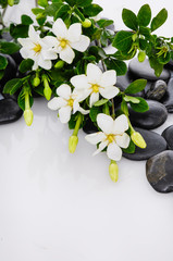 gardenia with n black pebbles 
