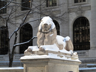 New York Public Library Lion in Winter