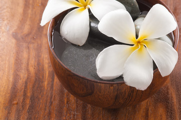 Wooden bowl of white frangipani and stones