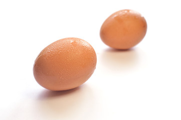 two eggs are isolated on a white background