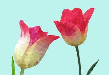 Vector illustration of Tulip low poly style.