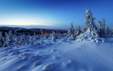 Winter trees in mountains covered with fresh snow before sunrise