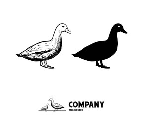 Hand draw and Shilhouette of Duck