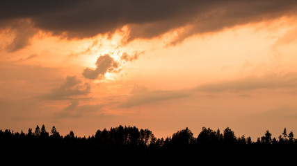 Fiery sunset and silhouette forest