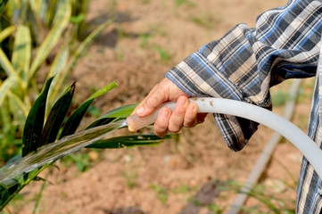 Working watering garden from hose