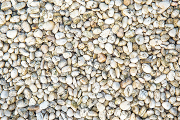 Colorful small pebbles or stone in garden.
