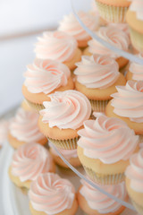 Cupcake in wedding party
