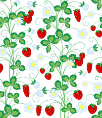 Vector hand drawn seamless strawberry pattern.