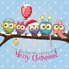 Obraz premium Five Owls