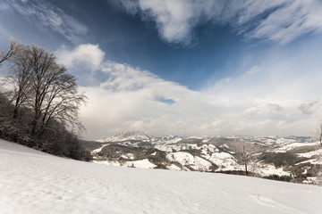 Obraz premium winter