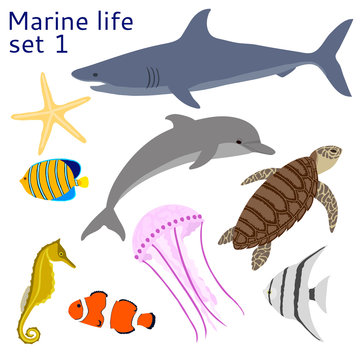 Marine life. Set of isolated objects.