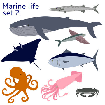 Marine life. Set of isolated objects.