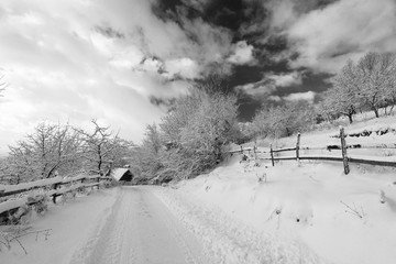Obraz premium winter