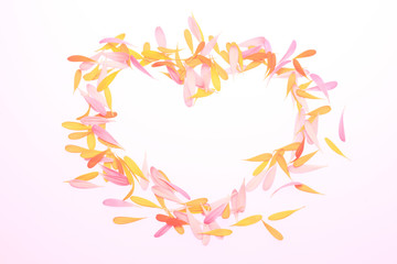 ガーベラの花びら
