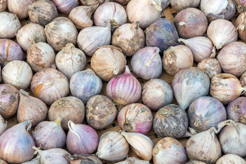 Red Onion