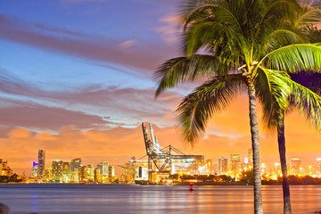 Beautiful sunset over  Downtown and the Port of Miami, beautiful colorful sunset skyline panorama with silhouettes of Palm trees - 97101884