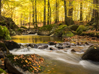 Magic autumn river and forest