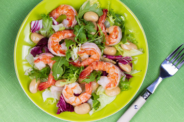 Shrimp and white bean salad. View from above, top studio shot
