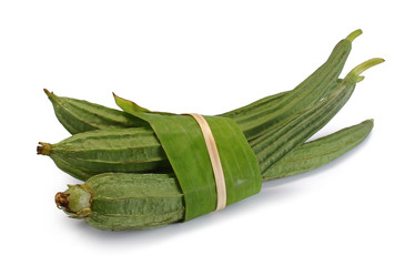 Angled Loofah Sponge gourd or Angled Gourd on isolated white background