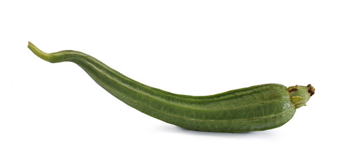 Angled Loofah Sponge gourd or Angled Gourd on isolated white background