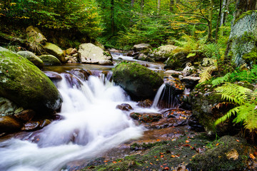 Obraz premium Magic autumn waterfall and forest