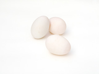 Duck eggs on white background