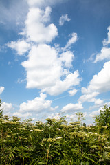 the nature and the beautiful sky above it