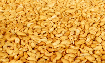 Cashews background.