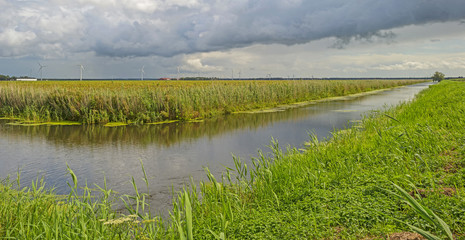 Fototapeta na wymiar Clouds over a canal through a rural landscape 