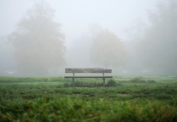 Foggy morning in Wimbledon