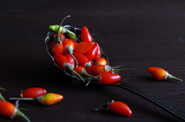 goji beeren
