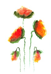 Beautiful stylized red poppy flowers on white, Acrylic color painting